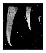 Donati's Comet of 1858, illustration