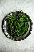 Vintage metal plate full of bright green thuja branches on concrete background