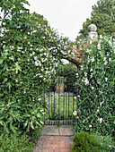 Garden with wrought iron gate