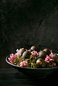 Black Easter concept Bio colored black eggs with golden spots laying on wild moss with small pink flowers in black ceramic bowl on dark wooden background Copy space