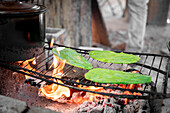 Nopal leaves being cooked on metal grill over burning bonfire