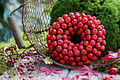 Apple wreath as garden decoration