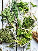 Various aromatic fresh herbs on a white wooden background