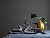 An amalfi lemon with leaves in vintage wire basket