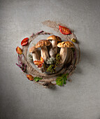 An arrangement of mushrooms and autumnal leaves