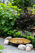 Water bowl surrounded by stones, behind it hydrangea in the garden