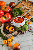Hausgemachtes Tomatenmark, umgeben von frischen Tomaten