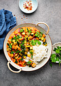 Rotes Tofu-Zucchini-Curry mit Reis (Asien)
