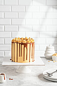 Chocolate caramel cake with peanuts (Snickers Cake)