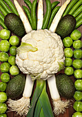 Weißes und grünes Gemüse künstlerisch arrangiert