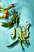Still life with vegetables on a blue background