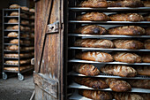 Shelves with different kinds of bread in a bakery