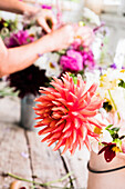 Dahlie in einer Kanne im Blumenladen, Arme im Hintergrund mit Blumenstrauß