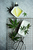 Organic hemp leaves over gray table with scissor and dropper