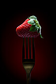 Ripe red strawberry with green leaf on fork against dark red background in studio with dim light