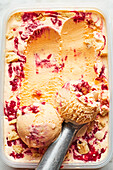 Strawberry vanilla ice cream (Close Up)