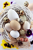 Osternest mit verschiedenen Eiern und frischen Blüten