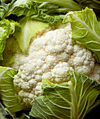 Cauliflower (close up, full-frame)