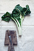 Chard, vintage wooden cutting board and knife