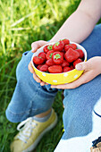 Bowl with strawberries in the hands of a person sitting outside