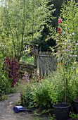 Weidenzaun und Gartentor in einem sonnigen naturnahen Garten