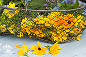 Freshly cut marigolds (Calendula) in a wire basket