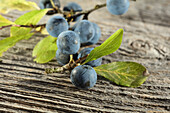 Sloes on a wooden background