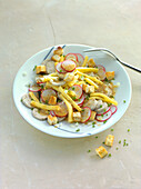 White sausage salad with radishes, cheese, and croutons