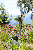 Birkenäste mit Strauß aus Hortensien und Jungfer im Grünen auf Blumenwiese