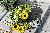 Bouquet of sunflowers and poppy capsules in milk cans