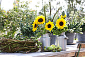 Sonnenblumen mit Mohnkapseln und Hortensie in Milchkannen, daneben Kranz aus Weinranken