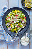 Leaf salad with radishes, cucumber, and yogurt sauce