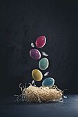 An Easter nest with floating coloured eggs and feathers