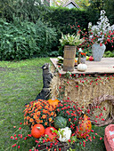 Herbstdekoration im Garten mit Kürbis, Herbstblumen und Katze