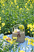 Picnic basket with drinks and pastries in rape field in spring