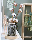 Cotton pods in vase