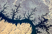 Lake Nasser, Egypt, ISS image