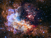 Westerlund 2 cluster and nebula, HST image