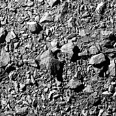 Dimorphos asteroid moonlet surface, DART image