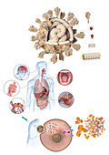 Covid-19 virus, symptoms and vaccine, illustration