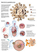 Covid-19 virus and symptoms, illustration
