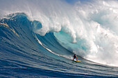 Big wave surfing in Hawaii, USA
