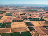 Farmlands, Arizona, USA, aerial photograph