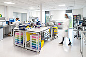 Researchers working in a laboratory