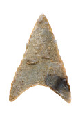 Neolithic winged arrow head in carved stone