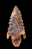 Neolithic arrow head