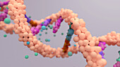 DNA mutation, illustration