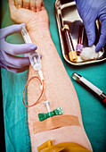 Nurse taking blood from a blood donor, conceptual image