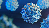 Adeno-associated virus, illustration