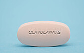 Clavulanate pill, conceptual image